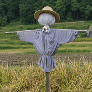 稻草人　中国語　かかし　案山子