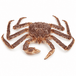 タラバガニ　たらばがに
画像を見て覚える日本の名産品・特産品の画像です。上に表記した名前の名産品・特産品の画像です。この画像は、学習目的で使用されます。